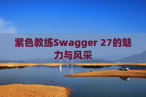 紫色教练Swagger 27的魅力与风采 紫色教练Swagger 27的魅力与风采